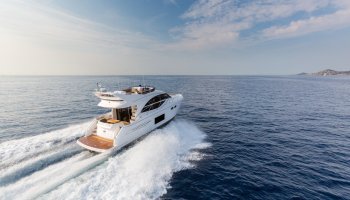 PRINCESS 49