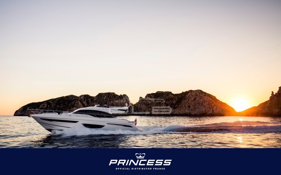 PRINCESS S66