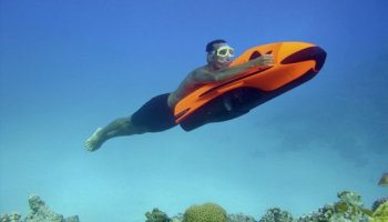 Seabob Distributor