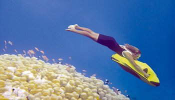 Seabob Distributor