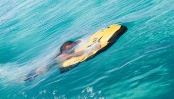 Seabob Distributor